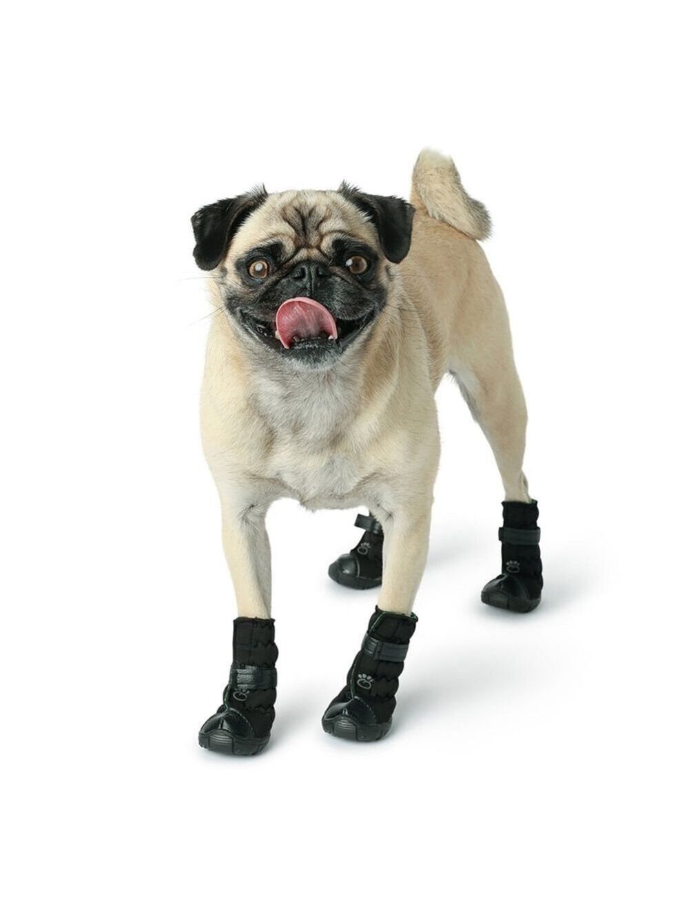 Pet | 🆕️Super Cute. Great Quality. Black Dog Boots | BB-Dsst